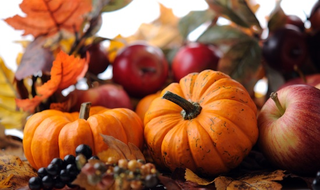 Illustration for article titled Fall Recipes, Y'all--HALP!